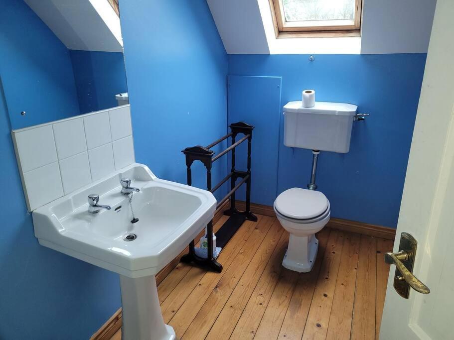 Cottage By The Sea Greencastle Greencastle  Extérieur photo